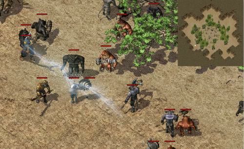 新开传奇sf一区二区全攻略 玛法征程进阶指南